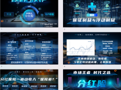 分紅險(xiǎn)市場(chǎng)王者時(shí)代之選三個(gè)角度看攻守兼?zhèn)?頁.pptx