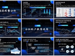 宏觀經(jīng)濟(jì)形勢(shì)分析分紅賬戶投資運(yùn)作9頁.pptx 