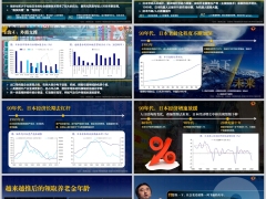 90年代日本老龄化现象和经济发展借鉴日本经验11页.pptx 