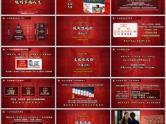 2025寿险意义与功用看清人生三大风险28页.pptx 