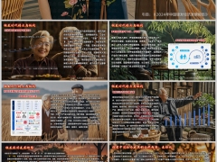 银发时代特点挑战银发经济趋势9页.pptx 