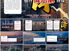 2025年银行降息潮持续5年期大额存单部分暂停13页.pptx