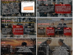 延迟退休实践展望国际经验美国法国日本10页.pptx 