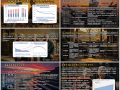 探索中国社会发展必然趋势老龄化养老金体系示意图11页.pptx 