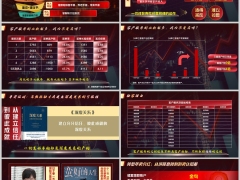 转型年卖分红预定利率销售认知升级停售嵌入字体13页.pptx