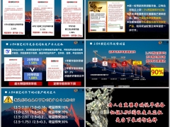 预定利率831退市固收类增额寿最后机遇嵌入字体版11页.pptx