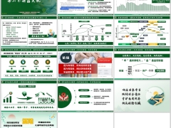 老龄化时代聚焦长期商保年金养老财务规划功能13页.pptx 