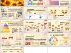 我国养老金体系三大支柱及失衡个人养老金政策解读嵌入字体版13页.pptx 