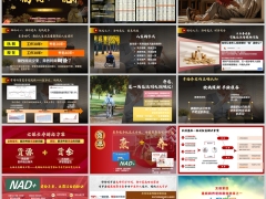 2026长寿康养方案权益发布养老产说会主讲太保鑫福岁悦版34页.pptx