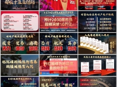 2026十五五规划下创富机会市场前景投资分红险理念篇16页.pptx 