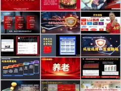 2026年百岁人生保险解决两类核心问题养老金特点18页.pptx 