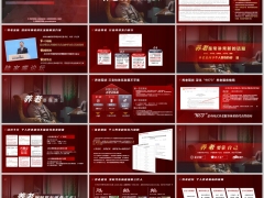 2026老龄化挑战当下养老现状规划延迟退休客群需求19页.pptx 