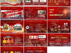 年金险不确定中的确定人口老龄化四大超级特点嵌入字体版14页.pptx 