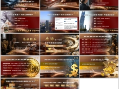 科学投资理财概念风险把钱放在保险公司优势理念篇字体嵌入版14页.pptx 