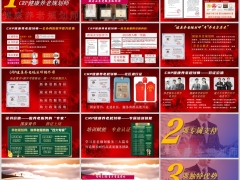 2026保险健康养老规划师招募计划介绍专属支持宣传片29页.pptx 