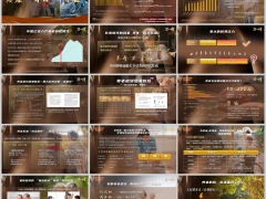 老龄化时代养老金护理金是品质养老底层逻辑字体嵌入版17页.pptx 