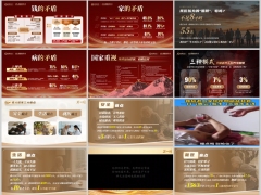 2026百岁人生居家养老理财产说会主讲流程太平卓越华彰版54页.pptx 