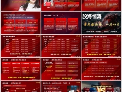 从女演员朱锐炒股亏损事件谈起保险人生兜底18页.pptx 