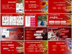 2026财富安全与增值理财产说会主讲字体图片版30页.pptx 