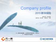 2015版新华保险公司简介介绍29页.ppt