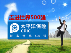 世界500强太平洋保险公司简介介绍53页.ppt