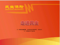 2015版民生人寿公司介绍16页.ppt