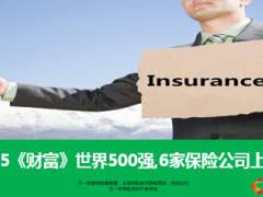 2015财富世界6家保险公司上榜500强16页.ppt