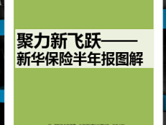 2015新华保险半年报图解9页.ppt