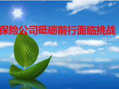 砥砺前行保险公司面临挑战12页.ppt