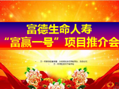 中石化混改富德生命集团化17页.ppt