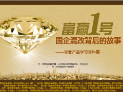 背后的故事富德生命人寿国企混改13页.ppt