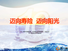 阳光集团公司介绍及保险政策行业43页.ppt