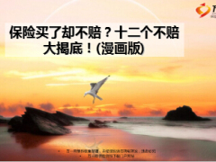 ca车险十二个不赔大揭底漫画版13页.ppt