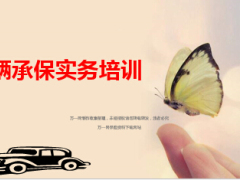 车辆承保培训实务48页.ppt