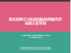 拓展国际保险服务方案策划阳光版14页.ppt