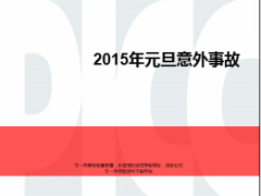 财产保险需求分析及2015元旦事故19页.ppt