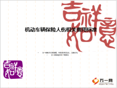 机动车辆财险人伤相关费用标准29页.ppt