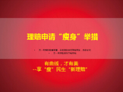 理赔申请瘦身举措享瘦民生新理赔11页.ppt