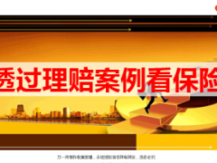 提升服务透过理赔实例看保险29页.ppt