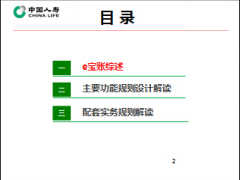 國壽e寶賬業(yè)務(wù)流程架構(gòu)解讀28頁.ppt