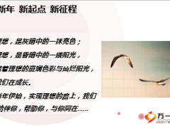 績優(yōu)輪訓開訓片46頁.ppt