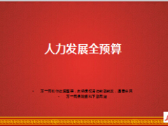 團(tuán)隊(duì)組織人力發(fā)展全預(yù)算中國人壽版42頁.ppt