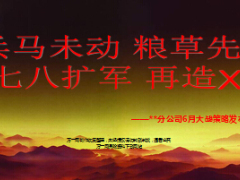 分公司6月策略發(fā)布會(huì)方案標(biāo)準(zhǔn)隊(duì)伍機(jī)構(gòu)支持類21頁.ppt