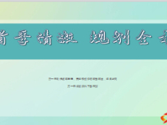 省公司營銷業(yè)務隊伍成長內部大清澈活動宣導12頁.ppt