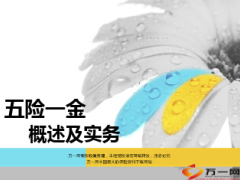 2015最新五险一金概述及实操32页.ppt