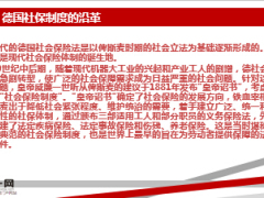 德国养老保险制度介绍及给我国的启示19页.ppt