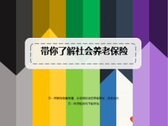 空账成因中国养老保险问题解析30页.ppt