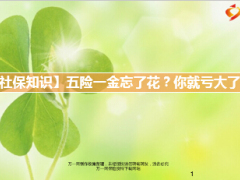 五险一金如何缴费如何使用18页.ppt