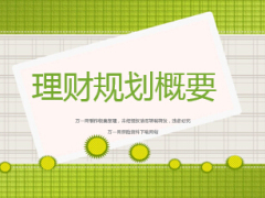 理财规划概要及个人理财规划28页.ppt
