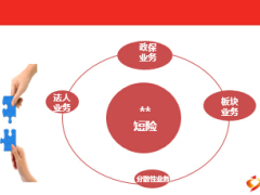 团险市场的思考某地16页.ppt